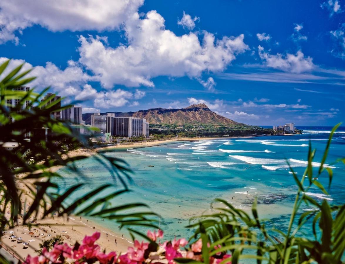 Apartment Gorgeous With Ocean View, Near Beach, Free Parking *